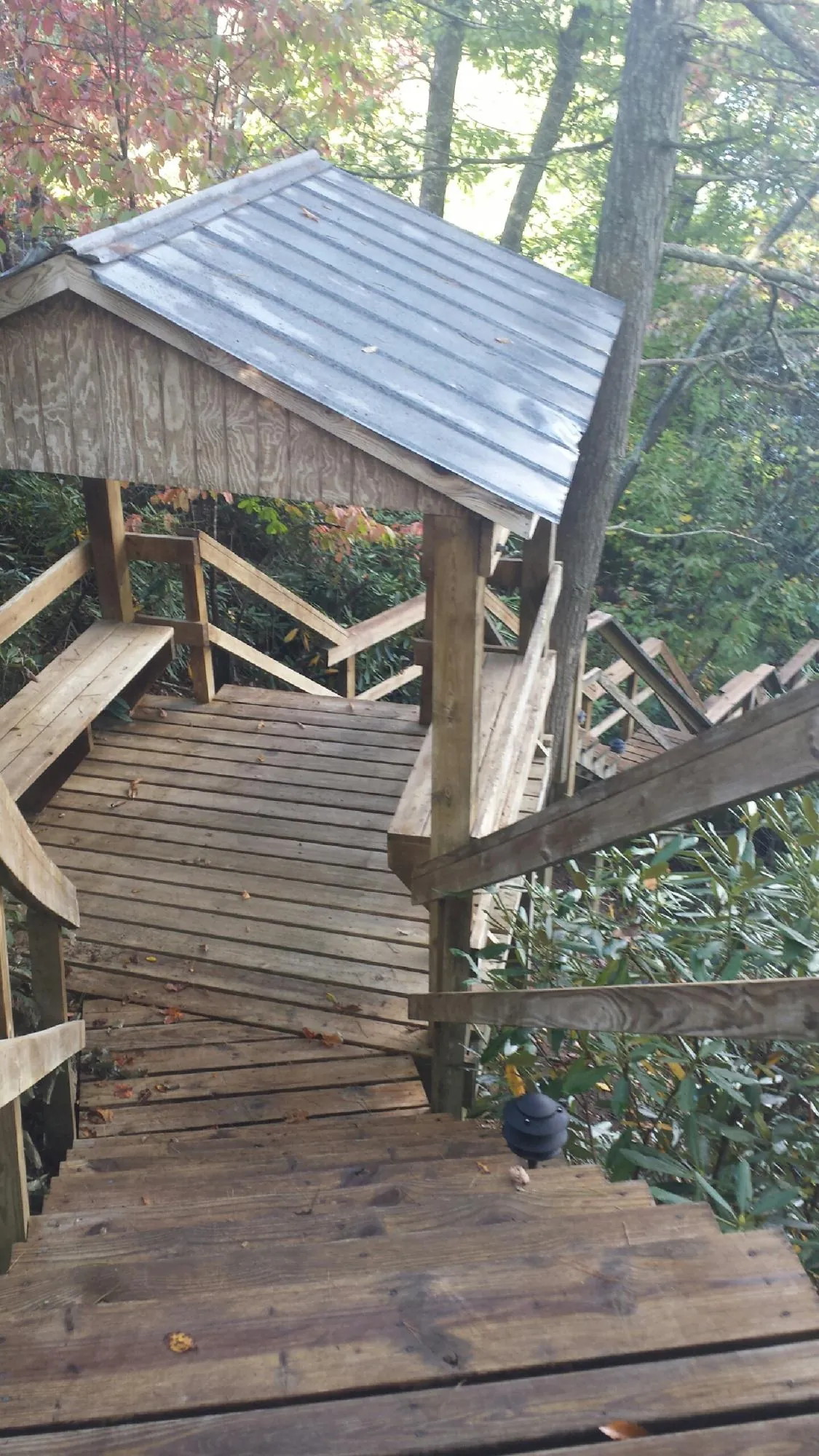 Metal roofed shelter over wooden steps on a wooded walkway — Skylight Repair & Installation work by our crew in Hustle